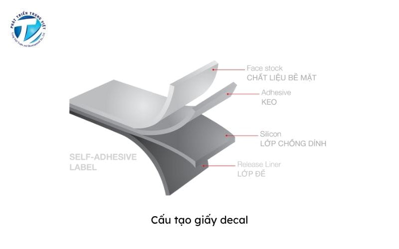 Cấu tạo giấy decal